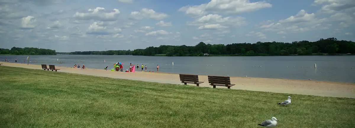 Bluebell Beach park setting with beach and surrounding recreation area.